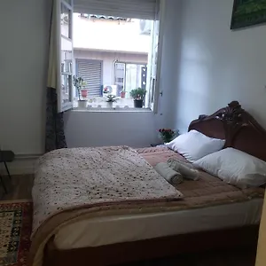 Auberge de jeunesse Oakland, Tirana